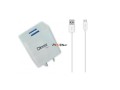 cargador-dinax-micro-usb-42-amperes-2-puerto-usb-la-plata-small-0