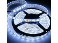 tira-led-blanco-frio-5050-5m-siliconada-interior-y-exterior-con-fuente-la-plata-small-0