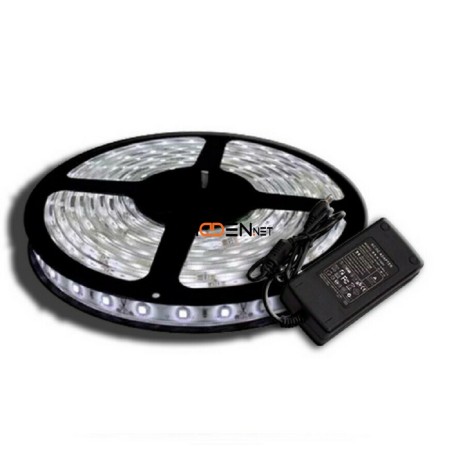 tira-led-blanco-frio-5050-5m-siliconada-interior-y-exterior-con-fuente-la-plata-big-2