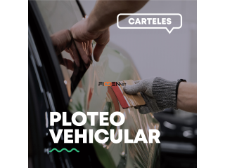 Ploteo Vehicular Completo