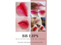 microblading-y-bblips-small-3