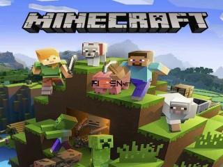 Minecraft / JUEGOS PARA PC