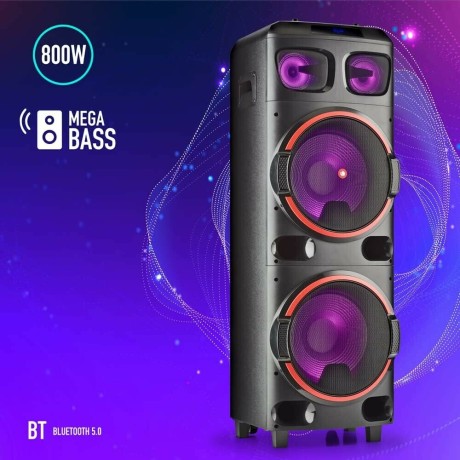 altavoz-con-bluetooth-ngs-wild-dub-2-800w-big-1