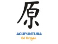 acupuntura-el-origen-small-0