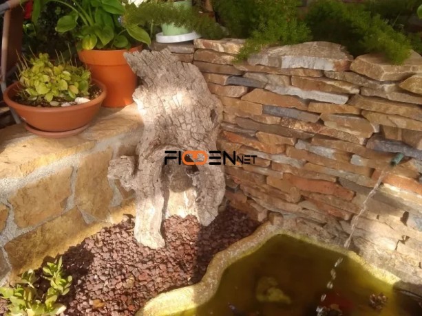 tronco-hueco-de-arbol-ideal-para-decoracion-de-jardin-big-6