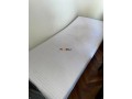 cama-plegable-y-colchon-de-espuma-small-2