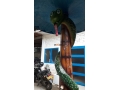 fabricamos-regadera-serpiente-cotiza-ya-small-2