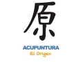 acupuntura-el-origen-small-0