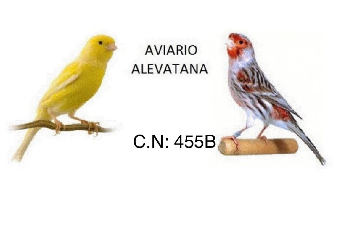 Aviario Alevatana