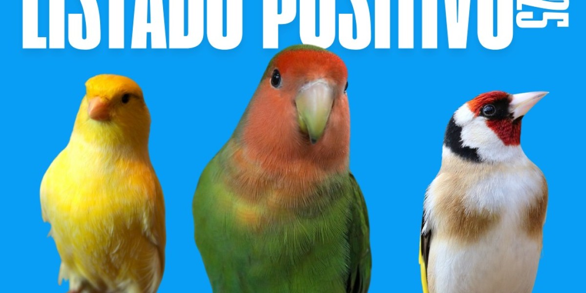 El Temido y esperado Listado Positivo de Mascotas para 2025: ¿Qué pasará con las aves domésticas?